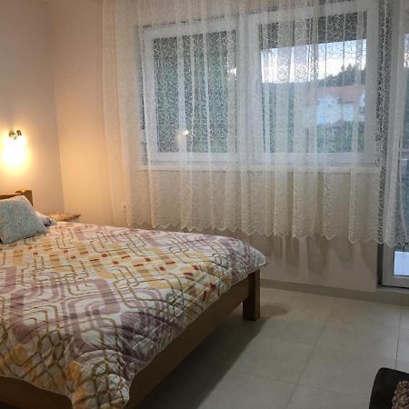 Apartment Vistanova Vrdnik Dış mekan fotoğraf
