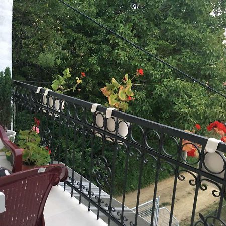 Apartment Vistanova Vrdnik Dış mekan fotoğraf