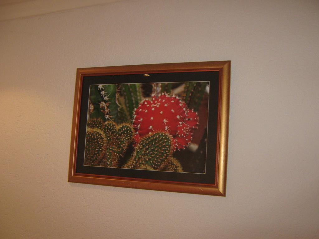 Apartment Vistanova Vrdnik Oda fotoğraf