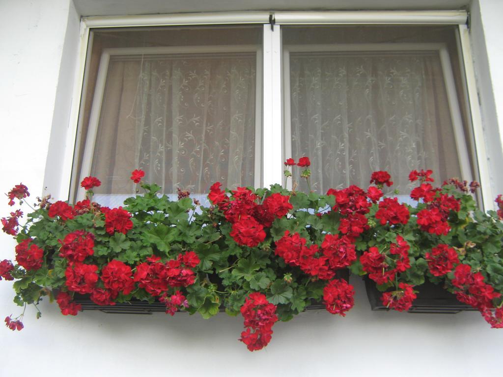 Apartment Vistanova Vrdnik Dış mekan fotoğraf